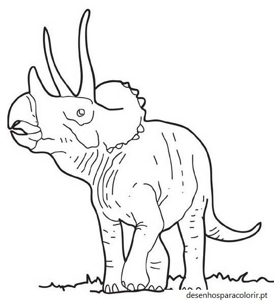 Desenhos de dinossauros 227